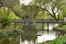 Leta efter den hemliga trädgården i Regents park