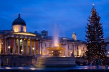 Missa inte Londons största julgran på Trafalgar Square!