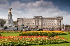 Missa inte Buckingham Palace