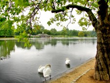 Hyde Park i centrala London