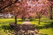 Njut av ett blommande London i sommar!