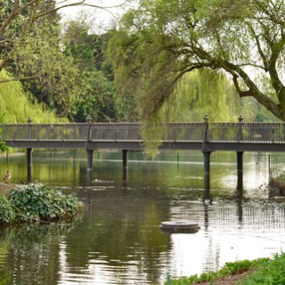 Leta efter den hemliga trädgården i Regents park