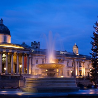 Missa inte Londons största julgran på Trafalgar Square!