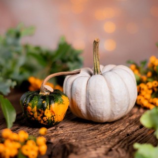 Njut av London i oktober
