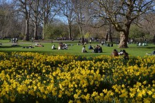 Njut av ett grönskande London