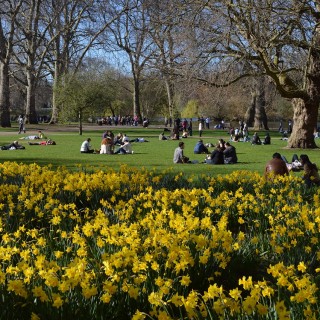 Njut av ett grönskande London